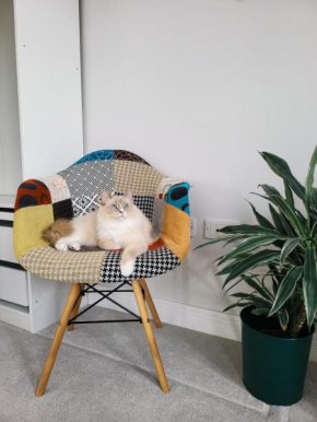 Private room in townhouse near Heathrow & Windsor
